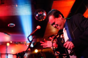 ROCK-AND-ROLL-ANIMALS